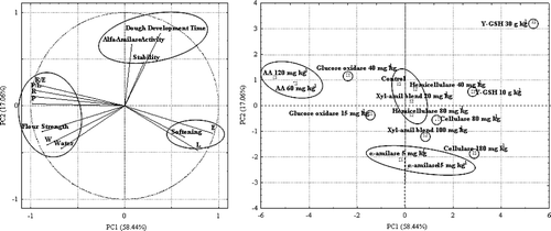 Supplementary Figure 2. PCA loadings of rheological properties of control and supplemented doughs. AA, ascorbic acid; Y-GSH, deactivated yeast rich in glutathione. Figura adicional 2. Gráfica de análisis PCA de las propiedades reológicas de masas control y suplementadas.