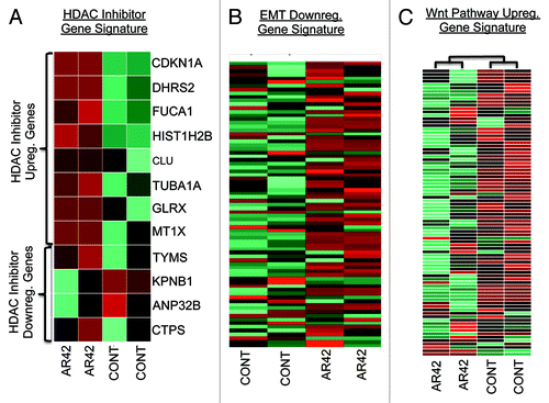 Figure 2. Comparison of AR42-associated gene expression changes for alignment with expression signatures for (A) genes commonly altered by 14 separate HDACIs;Citation33 (B) a set of 100 genes downregulated in cancer cells undergoing the epithelial-to-mesenchymal transition;Citation34 and (C) an 84-gene signature of upregulated genes in cancer cells possessing active signaling of the oncogenic mitogenic pathway Wnt (KEGG pathway hsa04310).Citation35