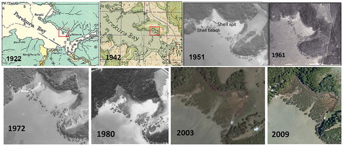 Figure 2. Changes in mangrove cover in Parekura Bay, 1922–2009, boxed-mangroves in the 1922 and 1942 maps presumably representing the tree-line visible in 1951. During rapid infilling and consolidation of new recruits, initial individual trees remained discernible.
