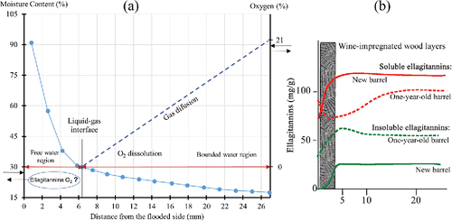 Figure 7. (a). MC profile in the thickness of the oak stave in steady state and hypothesis of the transfer of oxygen through the pores of the wood (Feuillat, Citation1996), (b) Ellagitannins evolution from new or old staves (one-year-old barrel) (Vivas and Glories, Citation1996).
