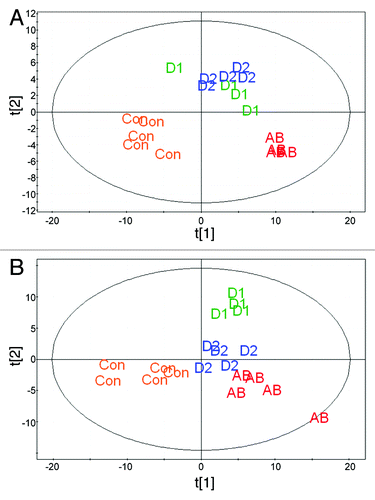 Figure 6. Metabolomic profile of cecal metabolites by partial least square discriminate analysis (PLS-DA) of (A) GC-MS and (B) HILIC-MS analytes. Abbreviations are as follows: Con, control mice (no antibiotic treatment or fecal transfer); AB, antibiotic treatment only; D1, mice dosed weekly with bacteria from Donor 1; and D2, mice dosed weekly with bacteria from Donor 2.