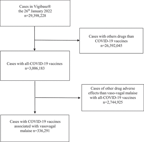 Figure 2. Flow chart of the descriptive study in Vigibase® conducted on January 26th, 2022.