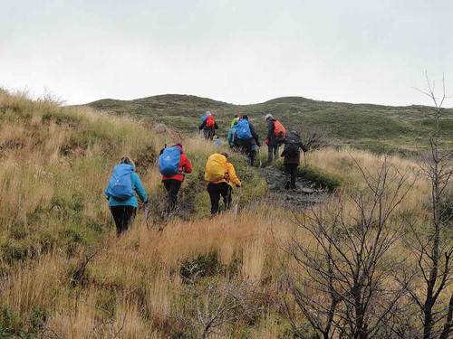 Figure 4. Group of tourists trekking in the trail section Paine Grande – Italiano ranger station.Source: CONAF.