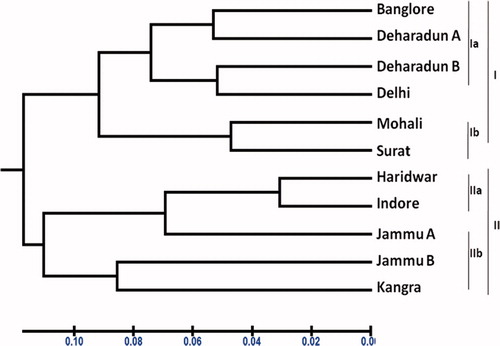 Figure 2. UPGMA dendogram showing the relationships among the eleven accessions of Stevia varieties.