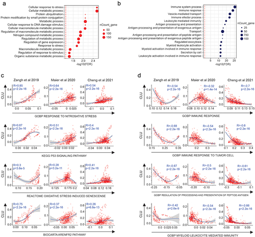 Figure 7. High clusterin expression correlates with a stressed DC phenotype.