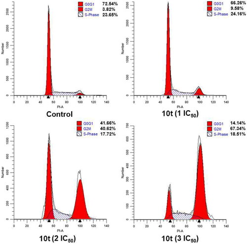 Figure 5. Effects of CA-4 and compound 10t on cell cycle. HeLa cells were treated with compound 10t (1 IC50, 2 IC50, and 3 IC50) for 24 h.