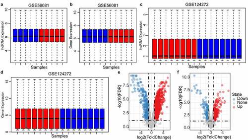 Figure 2. Identification of differentially expressed genes. A: the expression distribution of protein coding genes in each sample in the GSE56081 dataset; B: the expression distribution of lncRNAs in each sample in the GSE56081 dataset; C: the protein coding genes in each sample in the GSE124272 dataset D: the expression distribution of lncRNAs in each sample in the GSE124272 data set; where red represents disease samples and blue represents healthy samples; E: GSE56081 data set protein coding gene difference volcano map, F: GSE56081 data set lncRNA Difference volcano map