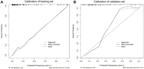 Figure 5 The calibration curves of training and validation set of Ra-tumor+Pr (A and B).