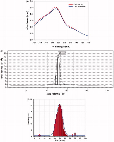 Figure 8. Stability of synthesized PGE-AgNPs up to 6 months and their (A) SPR spectrum, (B) zeta potential and (C) particle size distribution determined by DLS.
