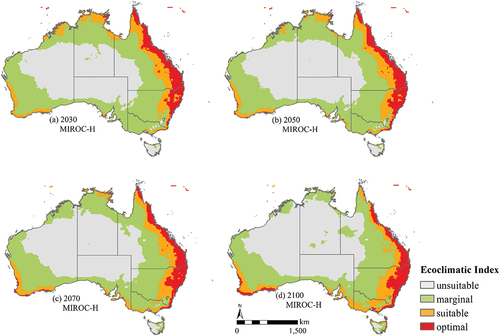 Figure 9. The future distribution of peanut crops in Australia using MIROC-H Global Climate Model, with climate scenarios of the SRES A2.