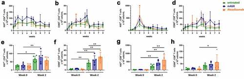 Figure 4. Proliferation and activation profiles of CD4+ and CD8+ T cells for up to 8 weeks (A to D). Comparison of the proliferation and activation profiles at pre-dose and 2 weeks post first administration of Ad5(SIV) (E to H). For each group shown data are presented as the percentage of these subsets out of the total T cell subsets. For each condition, * (p < .05), ** (p < .01), *** (p < .001), & **** (p < .0001) indicates statistical significance of the selected condition, compared to the untreated group