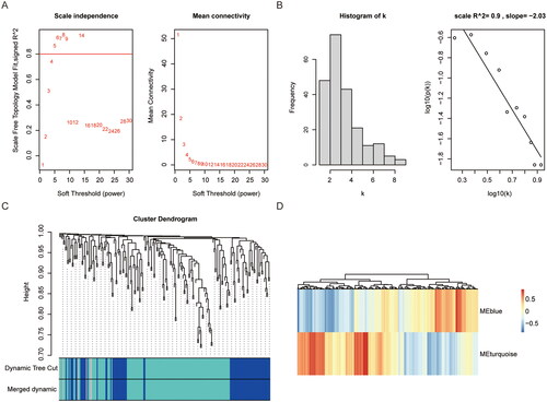 Figure 4. WGCNA analysis of necroptosis related genes based on dataset GSE12021. (A) Scale independence of eigengenes. the red line represents the correlationcoefficient square (r2) and mean connectivity of eigengenes under a soft threshold power of 5. the mean connectivity of eigengenes. (B) Gene network, thecorrelation coefficient between log (k) and log (p (k)) is close to 0.8, β=5. (C) Gene interactions in coexpression modules. (D) module correlations with RA patientsand controls. WGCNA: weighted gene co-expression network analysis; RA: rheumatoid arthritis.