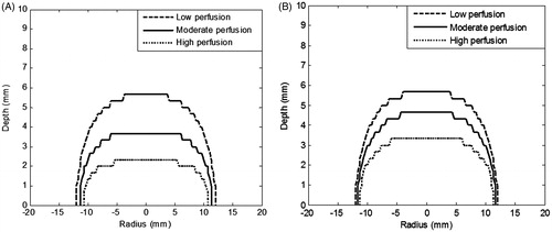 Figure 4. Contours of thermal damage (Ω = 4.6) for three different blood perfusion values considering (A) constant blood perfusion i.e. not varying with time, (B) blood perfusion varying with vascular stasis. Irradiation intensity is 1 W/cm2 for 105 s. GNR volume fraction is 0.001%. Perfusion rates are as per Table 1.