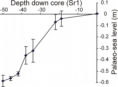 Figure 5  Curve showing relative sea-level rise as the upper 50 cm of core SR1 accumulated, based on MAT estimates (mean of 5 nearest analogues) of tidal elevation of fossil foraminiferal faunas in the core (Fig. 4). Error bars show standard deviation of five nearest modern analogues.