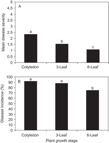 Fig. 1. Mean disease severity (a) and disease incidence (b) for the plants infected at 1, 0 (cotyledon), 1, 3 (3-leaf) and 1, 6 (6-leaf) stages of cultivar ‘Westar’. The experiment was carried out in a 50 × 60 m plot from June 1st to July 7th in 2004 for five weeks and from May 27th to August 10th in 2005 for 10 weeks at the Carman Research Station, Carman, Manitoba. Ten plants at 1, 0; 1, 3; and 1, 6 stages were each placed in a phoma stem canker-infested canola field for one week. After one week of field exposure, the plants were returned to greenhouse until the pod-filling stage. Stem disease severity was evaluated using a 0-5 scale where 0 = uninfected, 1 = lesion area less than 25% of the cross-section area of the crown, 2 = 25 to 50%, 3 = >50% girdled, stem firm, 4 => 50% girdled, stem weak, and 5 = plant dead (West et al., Citation2002). The square root transformation was applied to mean disease severity.