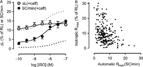 Figure 6  A: Concentration-effect curve for isoproterenol (ISO) determined in the presence of 1 mM caffeine (caff). Inotropic and automatic responses were determined in the same set of control ventricular myocytes (N = 8) and are expressed as in Figure 1. Data are mean and SEM. Gray and black dashed lines indicate the curves for the inotropic and automatic effects of ISO, respectively, in the absence of caffeine. B: Relationship between automatic and inotropic maximum responses (Rmax) to agonists determined in a set of 205 myocytes.