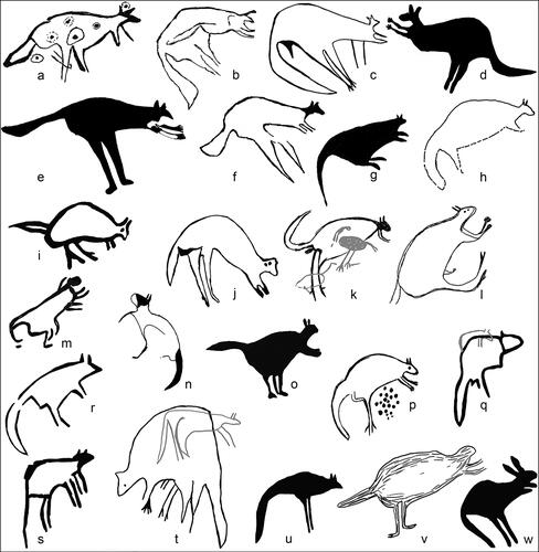 Figure 8. Macropod depictions including a possible extinct fat tailed species with a distinctive bulge-tail (a–f), others with more standard tail shape and thickness; note the greyed motifs occur on the same panels as the motifs shown.