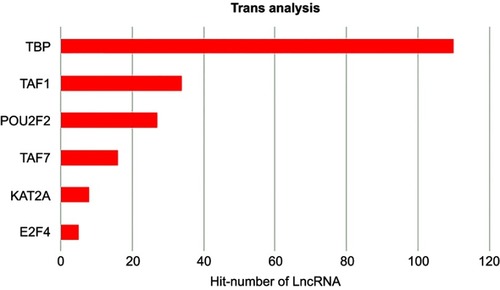 Figure 7 Top-ranking TFs associated with the differently expressed lncRNAs according to p-value.