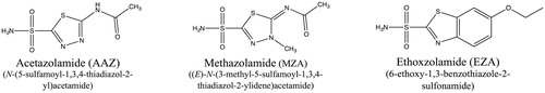 Figure 1. The chemical structures of acetazolamide, methazolamide and ethoxzolamide.