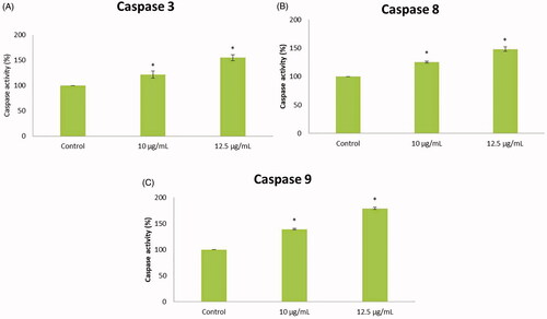 Figure 8. The enzymatic activities of caspases were determined in untreated and treated HepG2 cells with AuNPs C. militaris. (A) Represents that the caspase 3 was increased in the AuNPs treated cells when compared with untreated HepG2 cells. (B) Represents that the caspase 8 was increased in the AuNPs treated cells when compared with untreated HepG2 cells. (C) Represents that the caspase 9 was increased in the AuNPs treated cells when compared with untreated HepG2 cells.