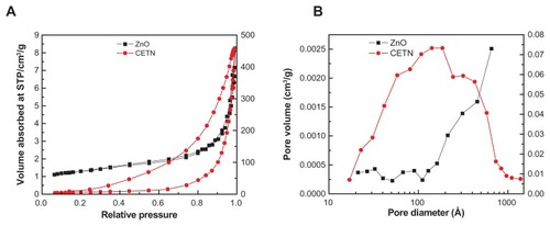 Figure 5 Adsorption-desorption isotherms for zinc oxide and CETN (A) and Barret–Joyner–Halenda method pore size distribution for zinc oxide and CETN (B).Abbreviation: CETN, cetirizine nanocomposite.