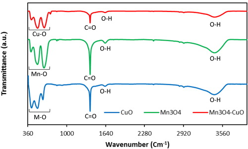 Figure 2. FTIR spectra of Mn3O4, CuO, and Mn3O4.CuO samples.