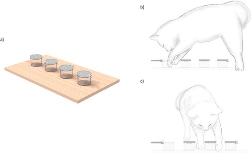 Figure 3. Complex Lid Opening Test for determining the paw preferences of the cats (a); a cat using its paw to reach for food after the lid is opened (b); and a cat using its paw to open the lid (c).