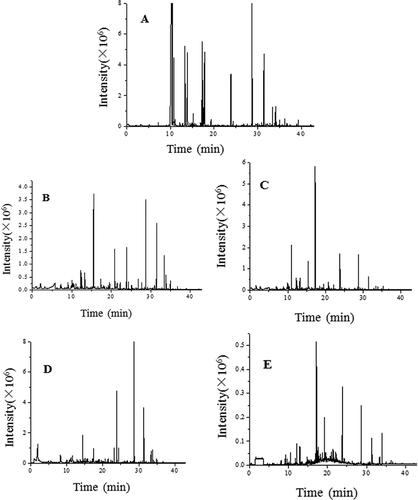 Figure 3. Total ionic chromatogram of volatile flavour components from five white Hypsizygus marmoreus samples (A: Fresh sample; B: Hot-air drying; C: Vacuum drying; D: Microwave-vacuum drying; E: Vacuum-freeze drying).