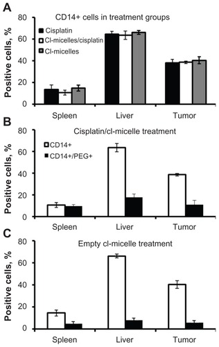 Figure 8 Uptake of cisplatin/cl-micelles by macrophages.Notes: Female nude mice (n = 3) bearing A2780 ovarian cancer xenografts (approximately 800 mm3), administered a single intravenous tail vein injection of free cisplatin or cisplatin/cl-micelles (7.5 mg/kg), or empty micelles (20 mg polymer/kg body weight) were sacrificed 24 hours post-treatment and liver, spleen, and tumors were harvested for flow cytometric analysis. Staining was performed with anti-CD14 antibody and anti- PEG antibody as described in material and methods. (A) Relative population of CD14 positive cells amongst the treatment groups was similar. (B) and (C), majority of the PEG positive cells in the micelle treatment group liver and spleen costained for mouse CD14 (70%–80%), indicating macrophage uptake of micelles in these organs. Tumor had two distinct populations of cells with about 30%–40% of PEG positive cells costaining for CD14 while the remaining associated with other tumor cells.