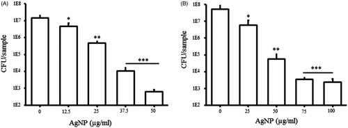 Figure 10. Effect of AgNP on bacterial adhesion on the nanoparticle coated glass surface. P. aeruginosa (A) and E. coli (B). All the experiments were performed in biological triplicates, data represent mean ± SD. *p < .05, **p < .005 and ***p < .001.