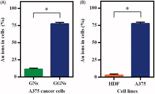 Figure 7. Intra-cellular uptake assay of GNs and GGNs. (a) Compare the uptake of GNs and GGNs in A375 cancer cells. (b) Indicate the difference of uptake of GGNs in HDF and A375 cell lines.