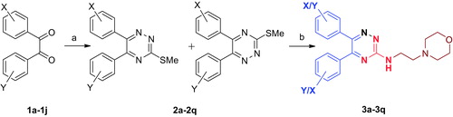 Scheme 1. Green synthesis of 5,6-diaryl-N-morpholinoethyl-1,2,4-triazin-3-amines (3a–3q). Reagents and conditions: (a) thiosemicarbazide, methyl iodide, ionic liquid [Bbim+Br−]: DMSO (1:10), 70 °C, 10–110 min; (b) 4-(2-aminoethyl)morpholine (4 eq.), neat, 100–110 °C, 2–4 h.