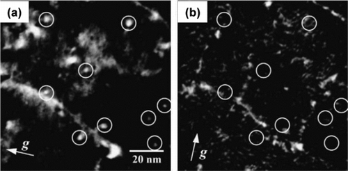 Figure 10 TEM images showing interstitial dislocation loops in A533B steels irradiated with heavy ions to 1 dpa at 290°C: weak-beam images with diffraction vectors (a) g = 011 and (b) g = 200 close to the [011] pole [Citation98]