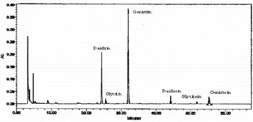 Figure 2 Reversed-phase HPLC chromatogram of the six isoflavones in soy samples.