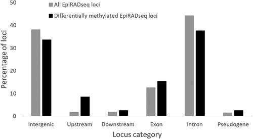 Figure 6. Percentages of EpiRADseq loci that mapped to various categories of annotated genomic regions of the rainbow trout genome (Omyk_1.0). Upstream: within 1 kb upstream of annotated genic regions. Downstream: within 1 kb downstream of annotated genic regions