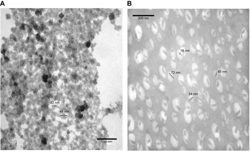 Figure 3 TEM image of PVCL-Lys at (A) room temperature (<LCST) and (B) at 42°C (>LCST).Abbreviations: TEM, transmission electro microscopy; PVCL, poly(N-vinylcaprolactam); LCST, lower critical solution temperature.