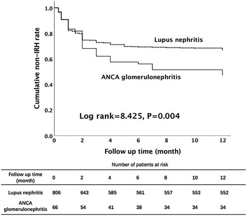 Figure 3. Survival curve and log rank test analysis for first-year IRH among patients with autoimmune renal diseases after intensive immunosuppressive therapy. IRH: infection-related hospitalization.