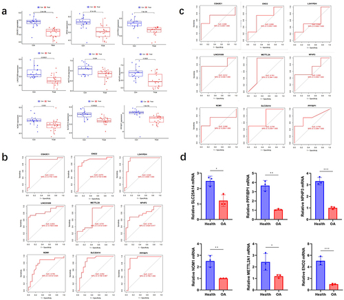 Figure 7 The model genes expression.