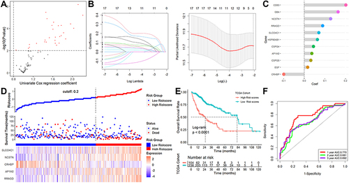 Figure 2 Establishment of a lysosome-related signature. (A) 20 of the 113 lysosome-related DEGs were calculated as prognostic genes. (B) LASSO-Cox regression analysis. (C) 11 genes were screened out. (D) The patient scores and their dispersion. (E) Patients with greater risk ratings showed markedly worse survival rates. (F) ROC analysis.