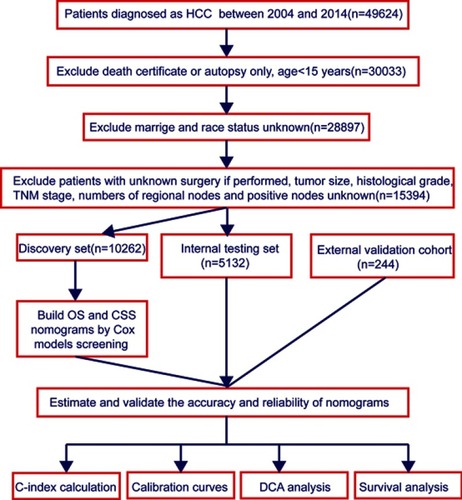 Figure 1 Study flowchart.Abbreviations: HCC, hepatocellular carcinoma; OS, overall survival; CSS, cancer-specific survival; DCA, decision curve analysis.