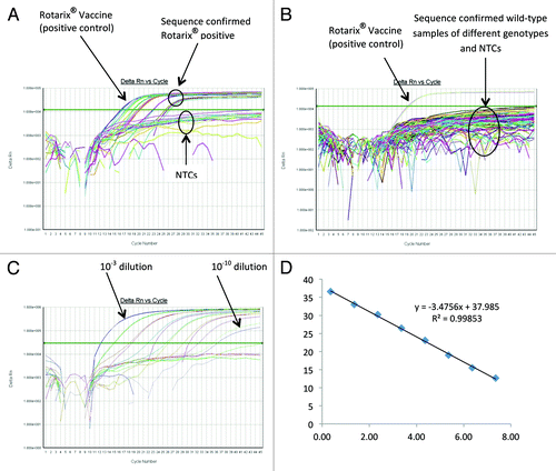 Figure 2. Performance of the Rotarix® NSP2 qRT-PCR Assay. (A) Amplification plot of Rotarix® NSP2 qRT-PCR assay using sequence confirmed Rotarix® positive stool samples. (B) Amplification plot of Rotarix® NSP2 qRT-PCR assay using sequence confirmed wild-type stool samples. (C) Amplification plot of Rotarix® NSP2 qRT-PCR assay using 10-fold serial dilutions of Rotarix® NSP2 vaccine derived dsRNA transcript. (D) Correlation between Rotarix® NSP2 qRT-PCR assay threshold value (Ct) and log copy number.