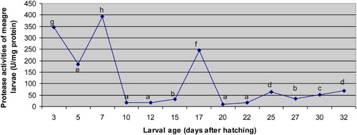 Figure 3. The changes determined in protease activities of meagre (Argyrosomus regius) larvae during the study (U/mg protein). Results are expressed as mean ± SE.