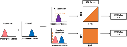 Figure 2. Analysis of individual descriptors. All repertoire and clinical antibodies are scored with each descriptor. A receiver operating characteristic (ROC) curve is then calculated by setting a cutoff between repertoire and clinical sequences at the lowest value calculated, forcing all sequences to fall into one class. This cutoff is continuously adjusted until all sequences are predicted to be in the alternative class. At every cutoff, a true positive rate (TPR) and false positive rate (FPR) is determined. The area under the curve (AUC) measures the performance of each descriptor at separating clinical from repertoire.