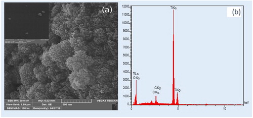 Figure 3. SEM image of TiO2 (a) and elemental analysis (EDX) for TiO2 (b).
