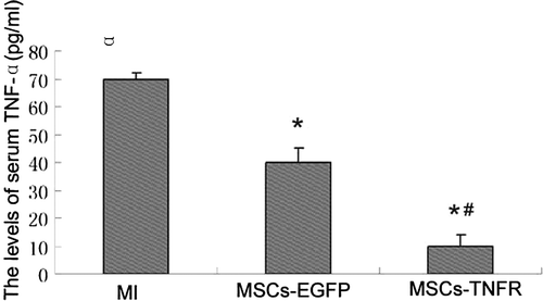 Figure 3.  The levels of serum TNF-α. Results (n = 12) are presented as means±s.e.m. *p < 0.05 compared with MI control group; #p < 0.05 compared with MSCs-EGFP group.