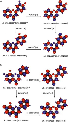 Figure 1. The formation of ortho-quinone derivatives of 3′,4′-dihydroxyflavone (A) and 7,8-dihydroxyflavone (B) after the sequential abstraction of two phenolic hydrogen atoms. aɛ0(ɛ0 + Hcorr), where ɛ0 is the SCF and Hcorr is the ‘thermal correction to enthalpy’; bHartree; ckcal mol−1; C is the enthalpy change for interconversion of conformers; and H is the removal of a hydrogen atom; red and blue are the spin up and spin down regions, respectively.