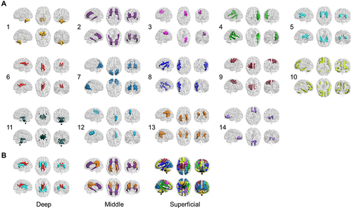 Figure 2 (A) Six views for each of the 14 WM functional networks. (B) WM functional networks can be spatially classified as deep, middle and superficial layers.