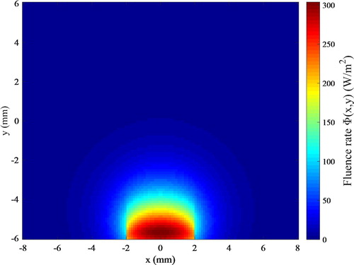 Figure 3. Distribution of fluence rate resulting from the laser pulse for the photoacoustic inverse problem.