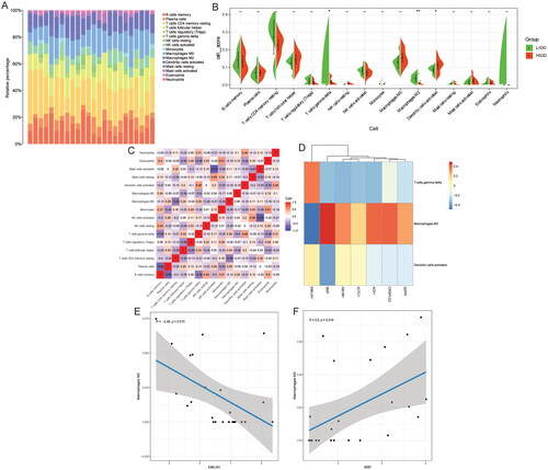 Figure 7. Analysis of correlation between immune cells and abnormal methylation-modified DEmRNAs.A: Stacked histogram of the proportion of each immune cell in the sample analysed by the CIBERSORT method; B: The difference of immune cell infiltration between low-grade IDD and high-grade IDD groups was analysed based on immune cell scores; C: The correlation between immune cells in IDD; D: Pearson correlations between gamma delta T cells, macrophages M and dendritic cells activated and abnormal methylation-modified DEmRNAs (AOX1, IBSP, QDPR, ABLIM1, CRISPLD2, ACTC1 and EMILIN1); E: Macrophages M2 and EMILIN1 was significantly negatively correlated; F: Macrophages M2 and IBSP were significantly positively correlated. LIDD: low-grade intervertebral disc degeneration; HIDD: high-grade intervertebral disc degeneration. *p < .05; **p < .01.