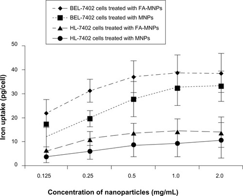 Figure 5 Uptake of MNPs in both BEL-7402 cells and HL770 cells treated by either FA-MNPs or MNPs at different concentrations for 24 hours and then combined with an ELF-EMF for 150 minutes.Abbreviations: FA, folic acid; MNPs, magnetic nanoparticles; ELF-EMF, extremely low-frequency electromagnetic field.
